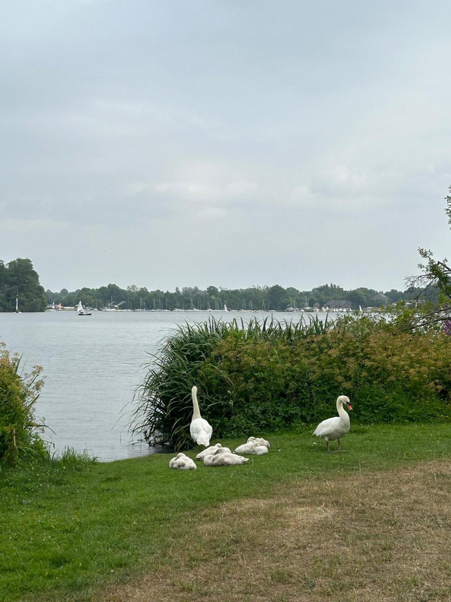 Logement Climatise Erdre Riviere La Chapelle-Sur-Erdre Eksteriør bilde